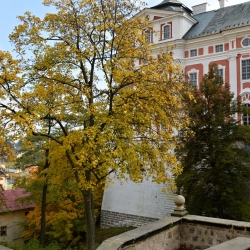 Broumovský klášter