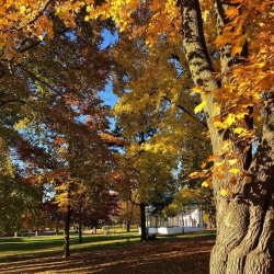 Schrollův park