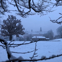 Broumovský klášter v zimě