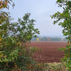 Pošmourný podzim