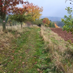 Pošmourný podzim